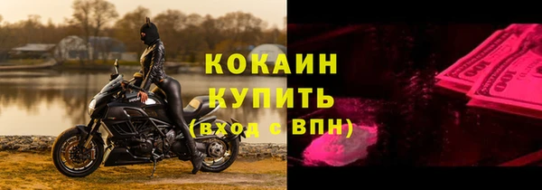 стаф Каменск-Шахтинский