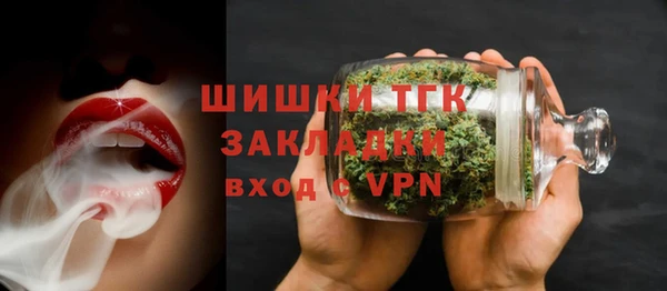 стаф Каменск-Шахтинский