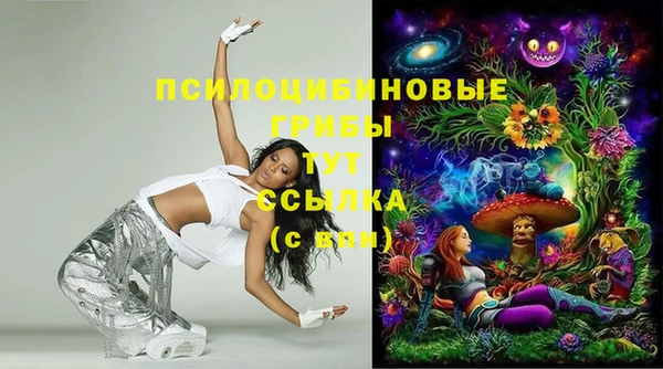 стаф Каменск-Шахтинский