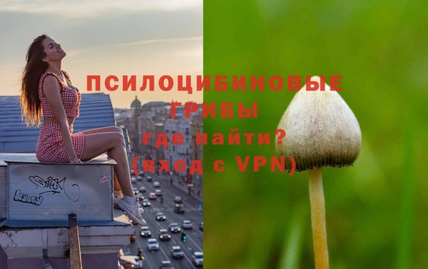 марки nbome Карпинск